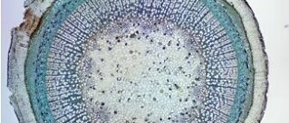 d015651b-e260-4a84-ad5c-c81f8b4b8c2f